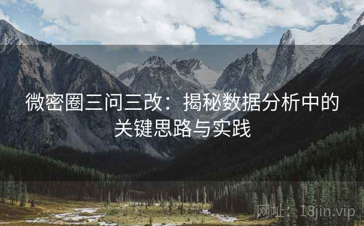 微密圈三问三改：揭秘数据分析中的关键思路与实践
