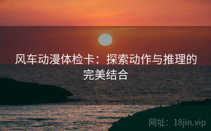 风车动漫体检卡：探索动作与推理的完美结合