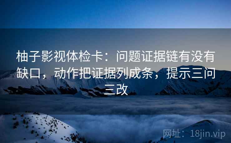 柚子影视体检卡:问题证据链有没有缺口,动作把证据列成条,提示三问三改
