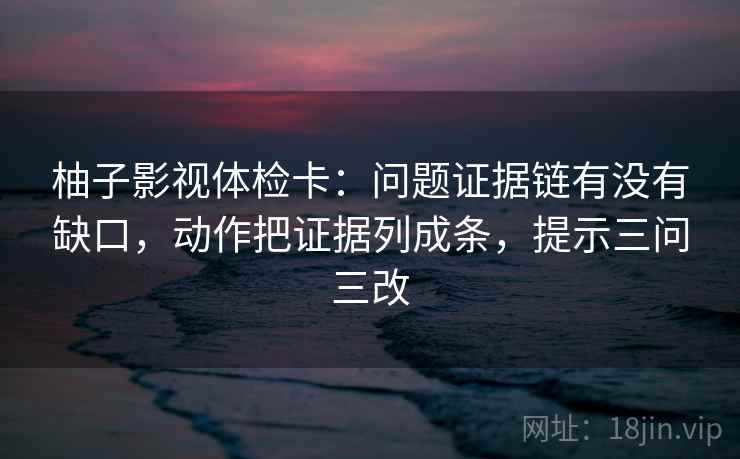 柚子影视体检卡:问题证据链有没有缺口,动作把证据列成条,提示三问三改